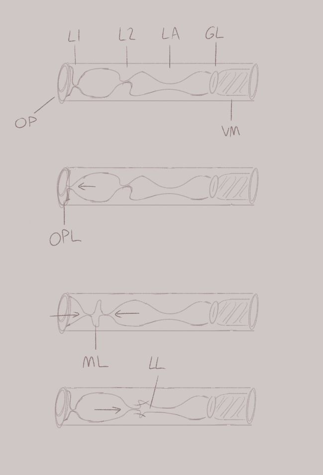 Sketched concept of Nioqim phonics.